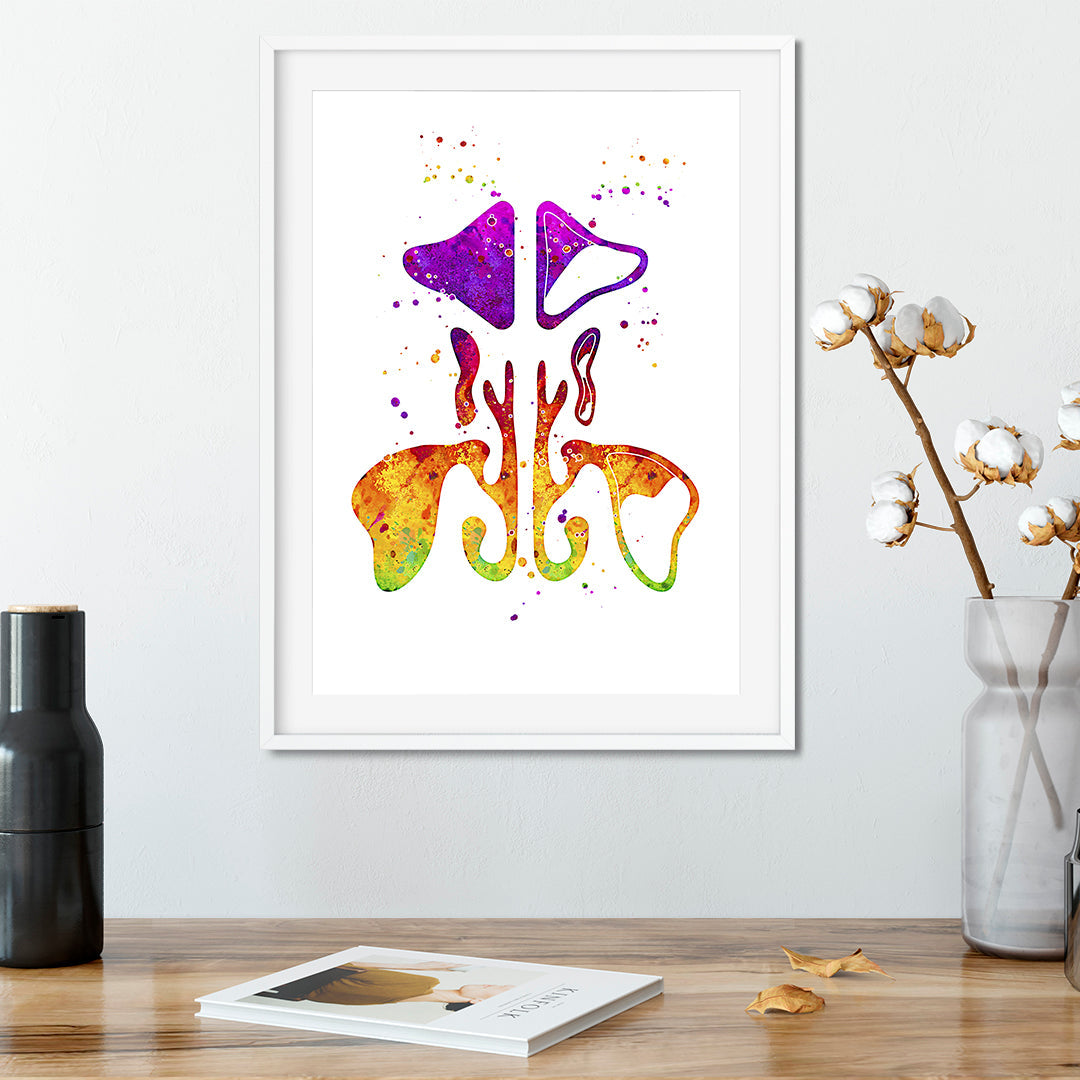 Sinuses Nasal Anatomy Art Watercolor Print
