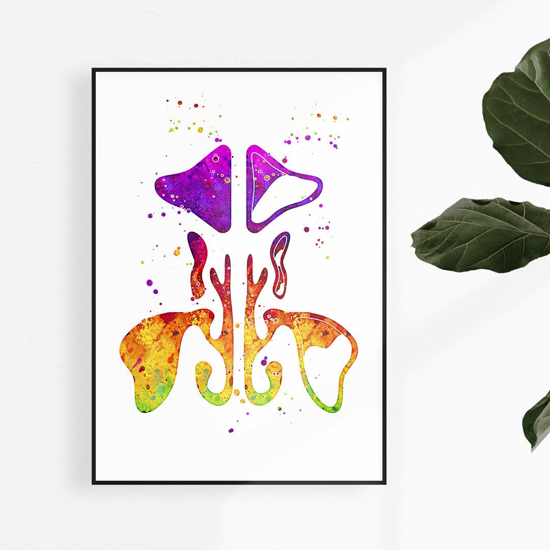 Sinuses Nasal Anatomy Art Watercolor Print