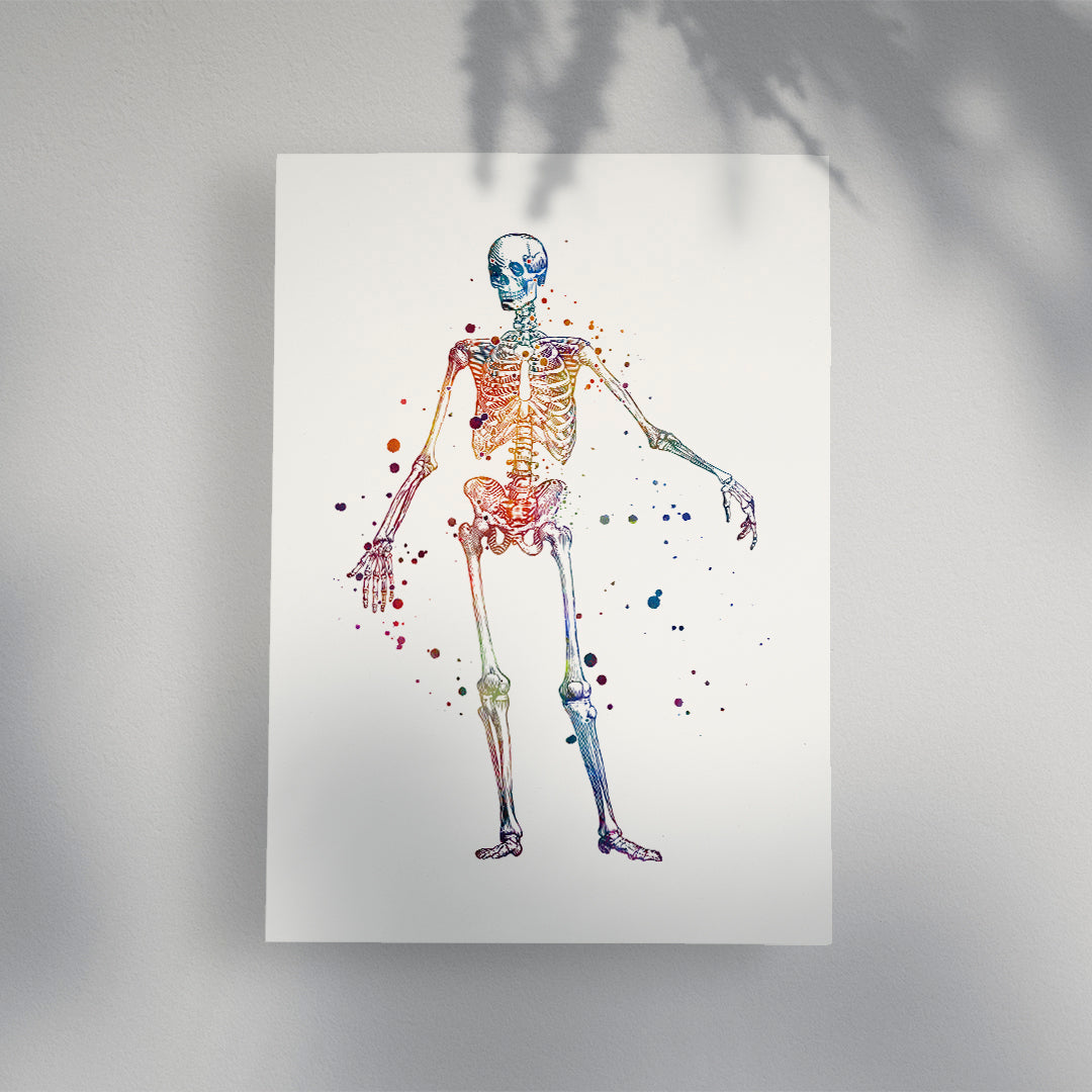 Skeleton Watercolor Print, Chiropractor Office decor