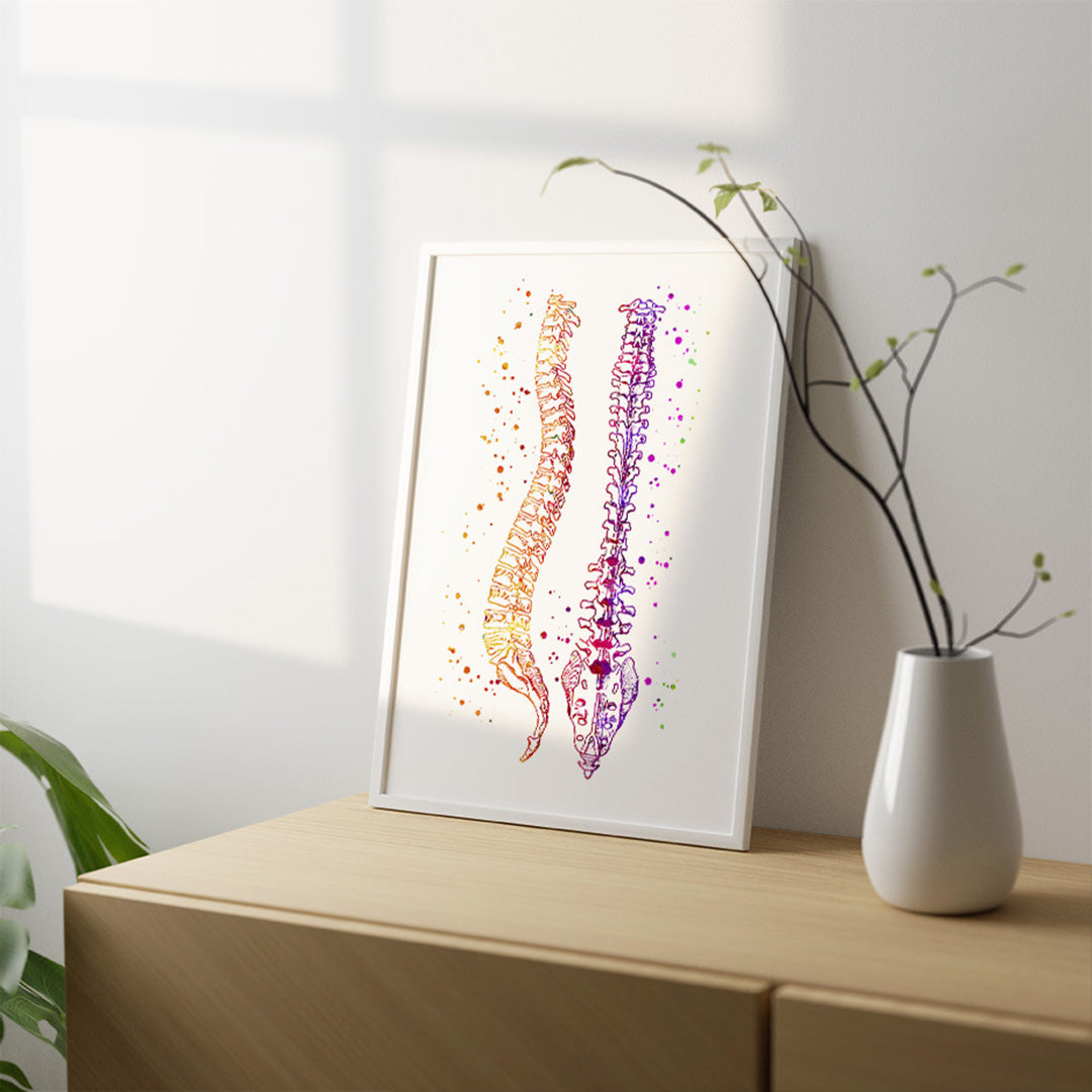 Spinal Column Human Spine Anatomical Watercolor Art Print