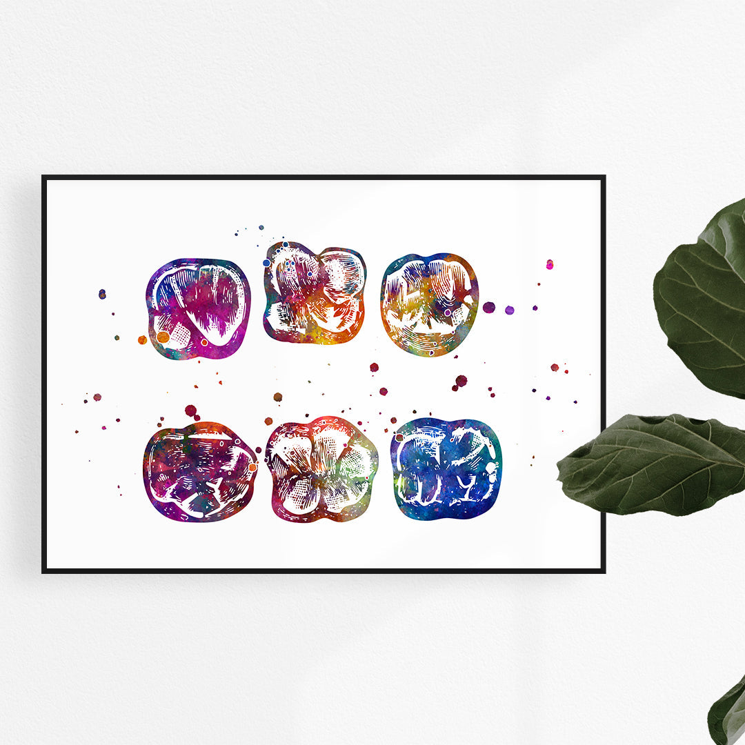 Surface of Molar – Watercolor Print