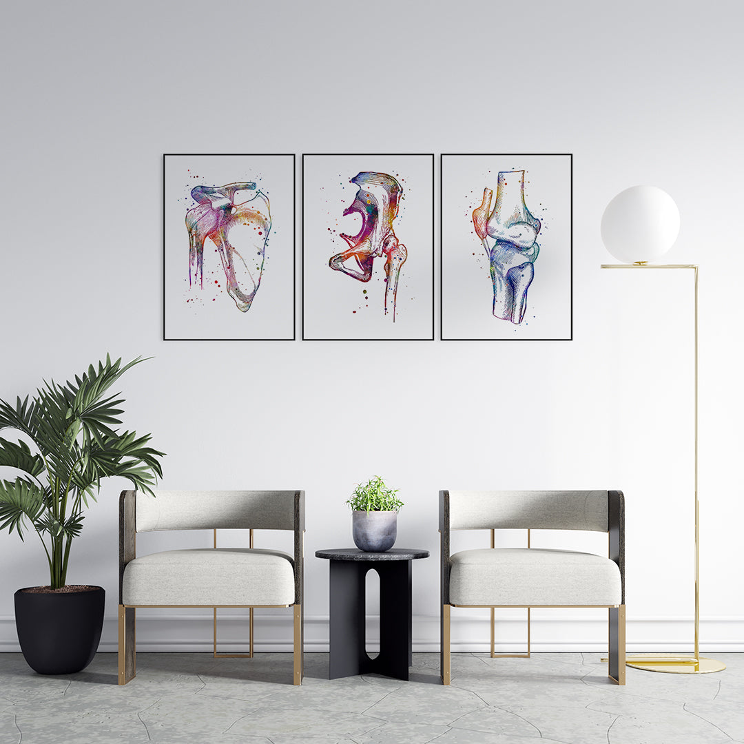 Hip, knee, and shoulder joint watercolor art prints for orthopedic surgeons, clinics, and physiotherapy spaces