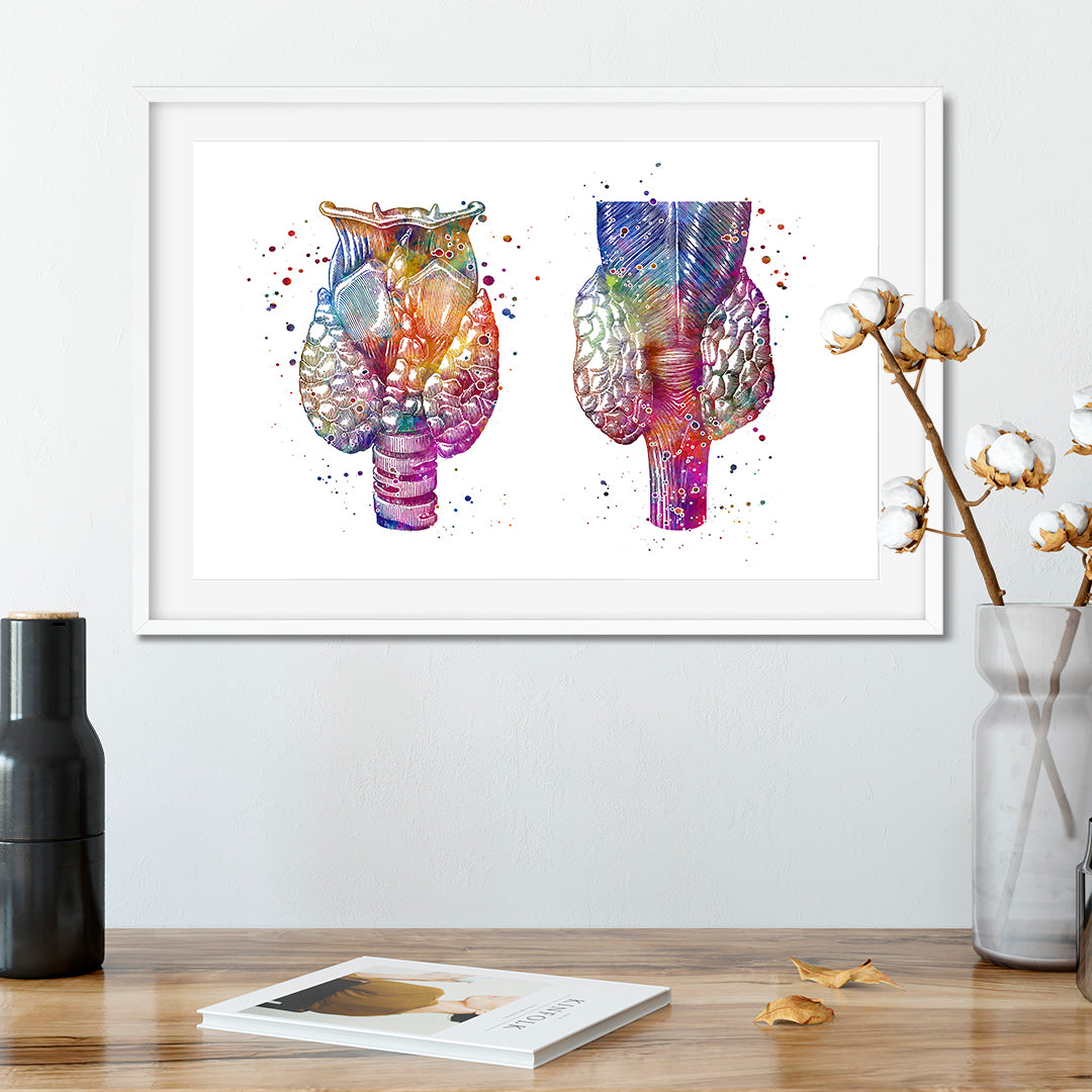 Watercolor anatomy art of the thyroid gland in multicolored tones, ideal for home decor or medical education.