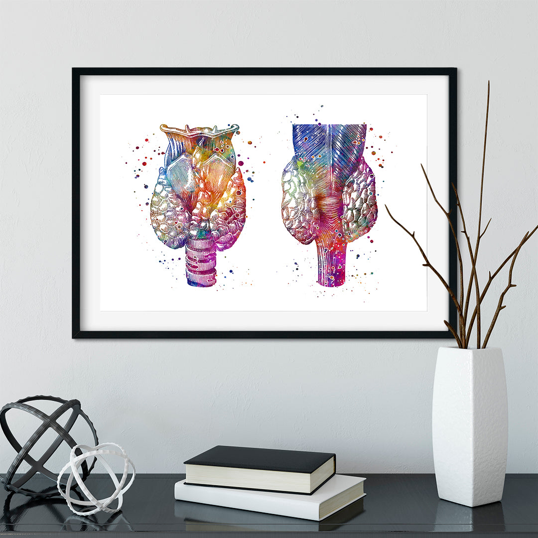 Detailed thyroid gland anatomy print in colorful watercolor, blending art and science beautifully.