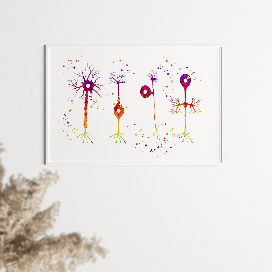 Detailed watercolor print depicting various neuron types, ideal for educational settings or neuroscience decor.