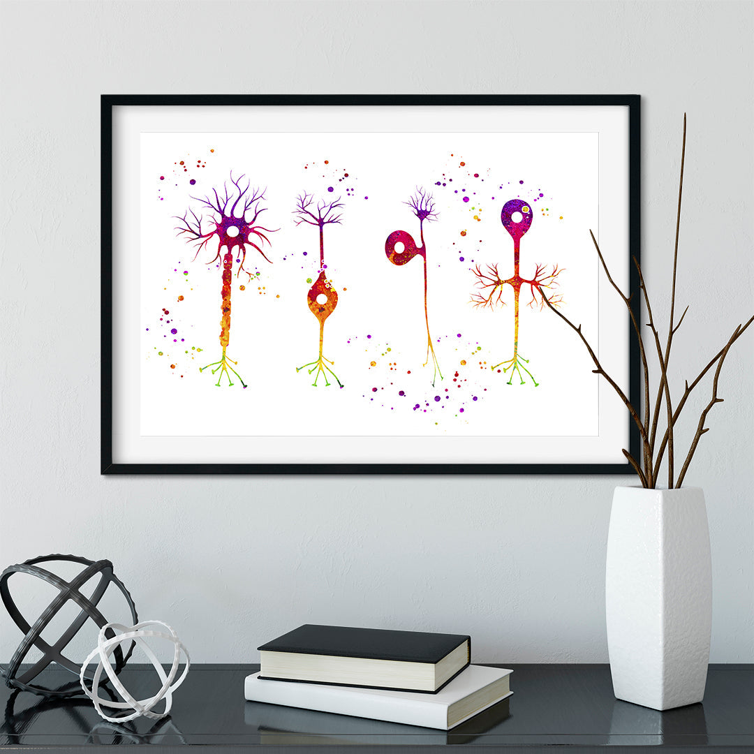 Types of Neurons Watercolor Art Print