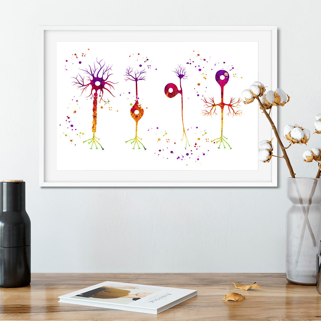 Types of Neurons Watercolor Art Print