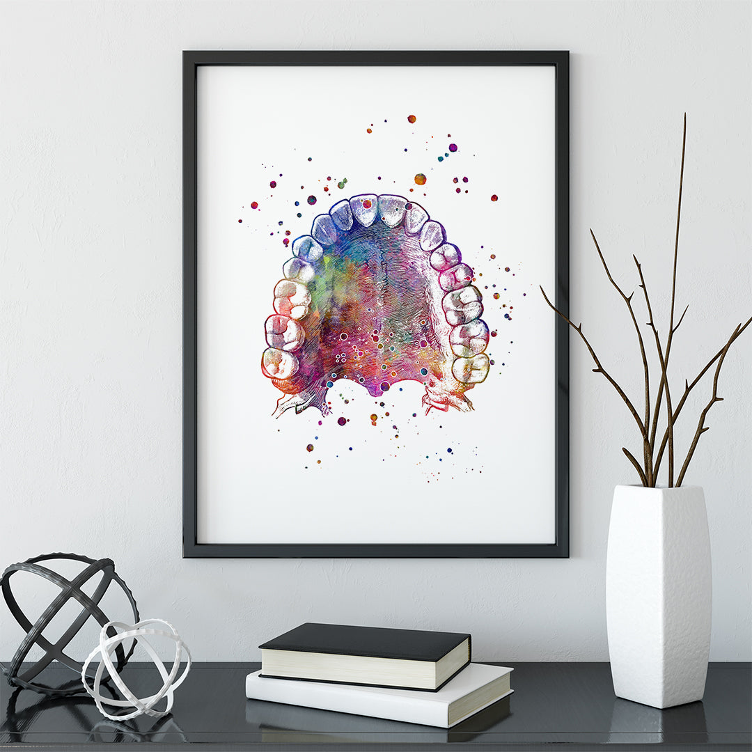 Artistic watercolor showing upper teeth and palate anatomy, perfect for professional decor