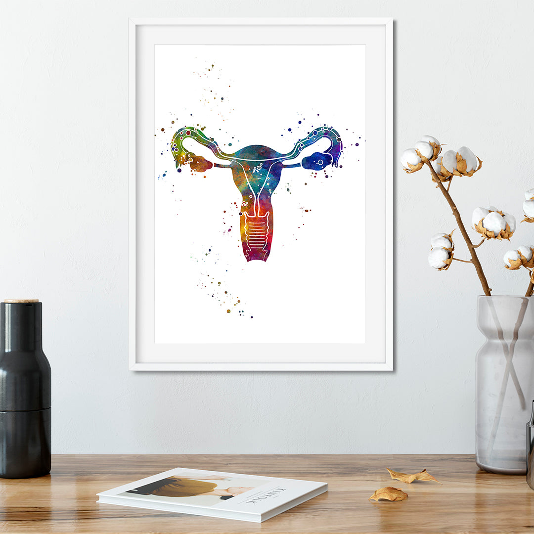 Watercolor uterus anatomy art print, great for medical professionals, educational institutions, or modern health-themed decor