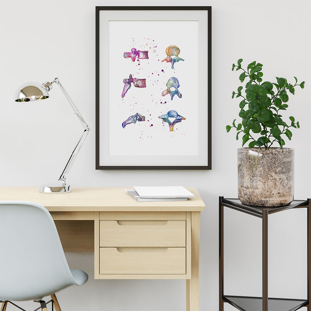 Bring a blend of art and anatomy into your practice with this stunning watercolor print of vertebrae bones. Ideal for orthopedic surgeons, chiropractors, physical therapists, and neurosurgeons, this artwork combines vibrant colors with detailed anatomy. 