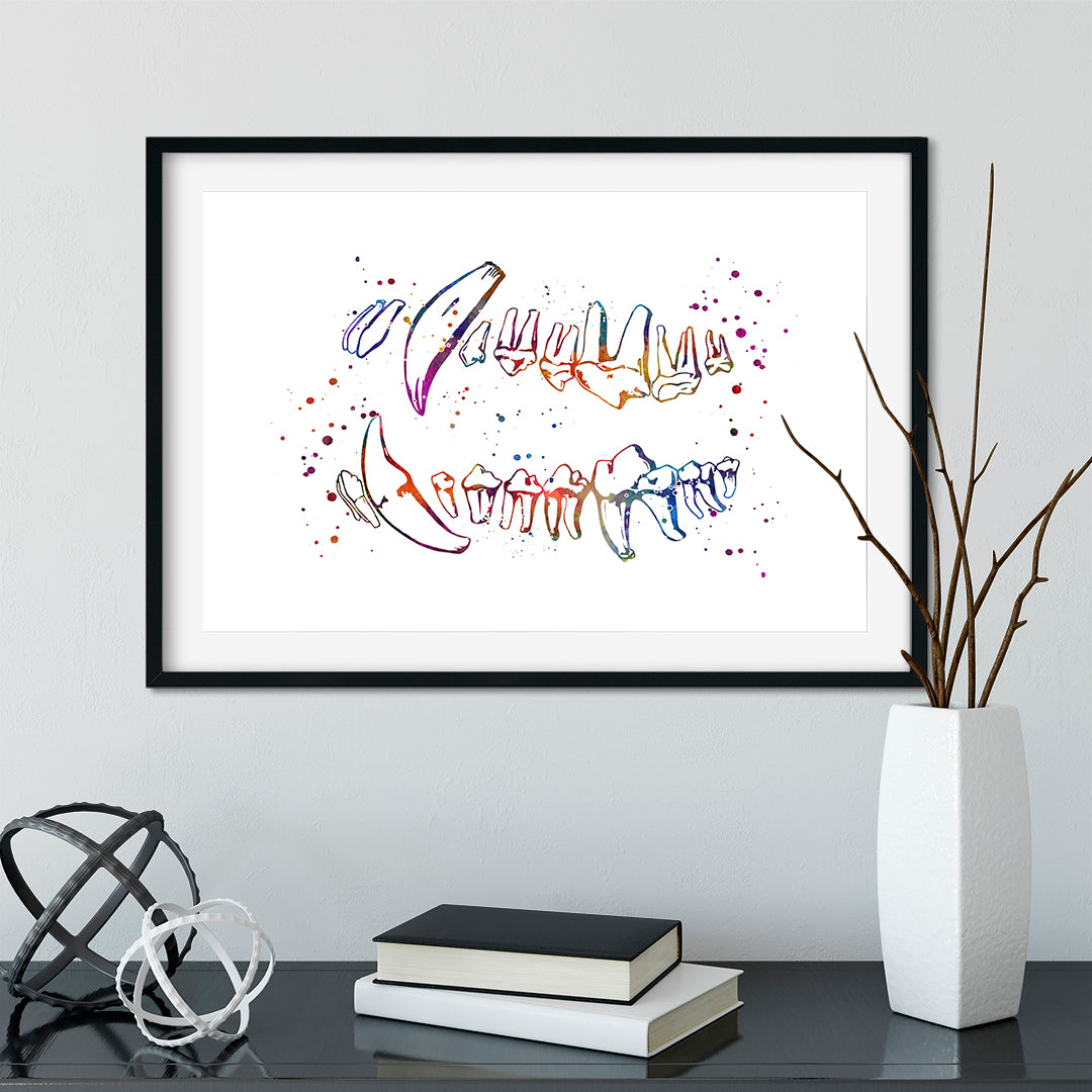 Multicolored dog teeth chart print, perfect for education or decor.