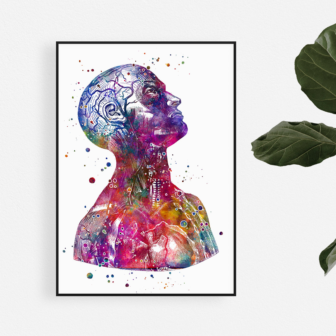 Head and Neck, Human Anatomy Art Watercolor Print for doctor office decor