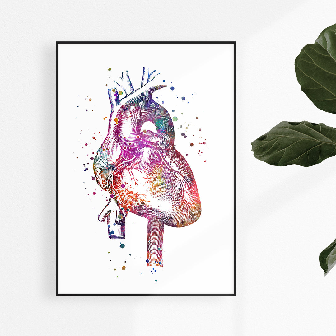 Anatomical Heart Watercolor Print, perfect for doctor office decor or cardiology-themed nurse gifts.