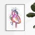 Anatomical Heart Watercolor Print, perfect for doctor office decor or cardiology-themed nurse gifts.