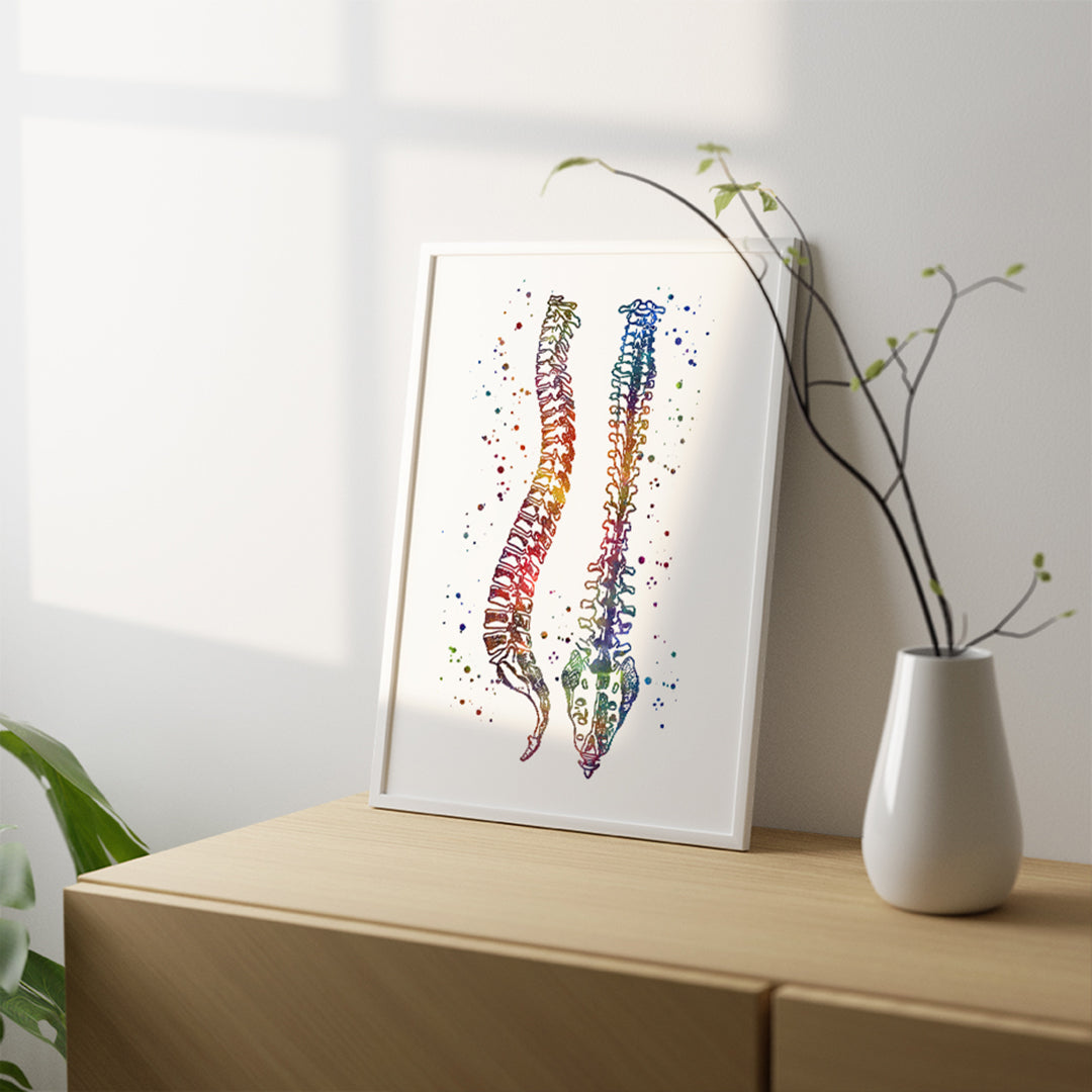 Spine watercolor picture, medical poster for clinic wall decor