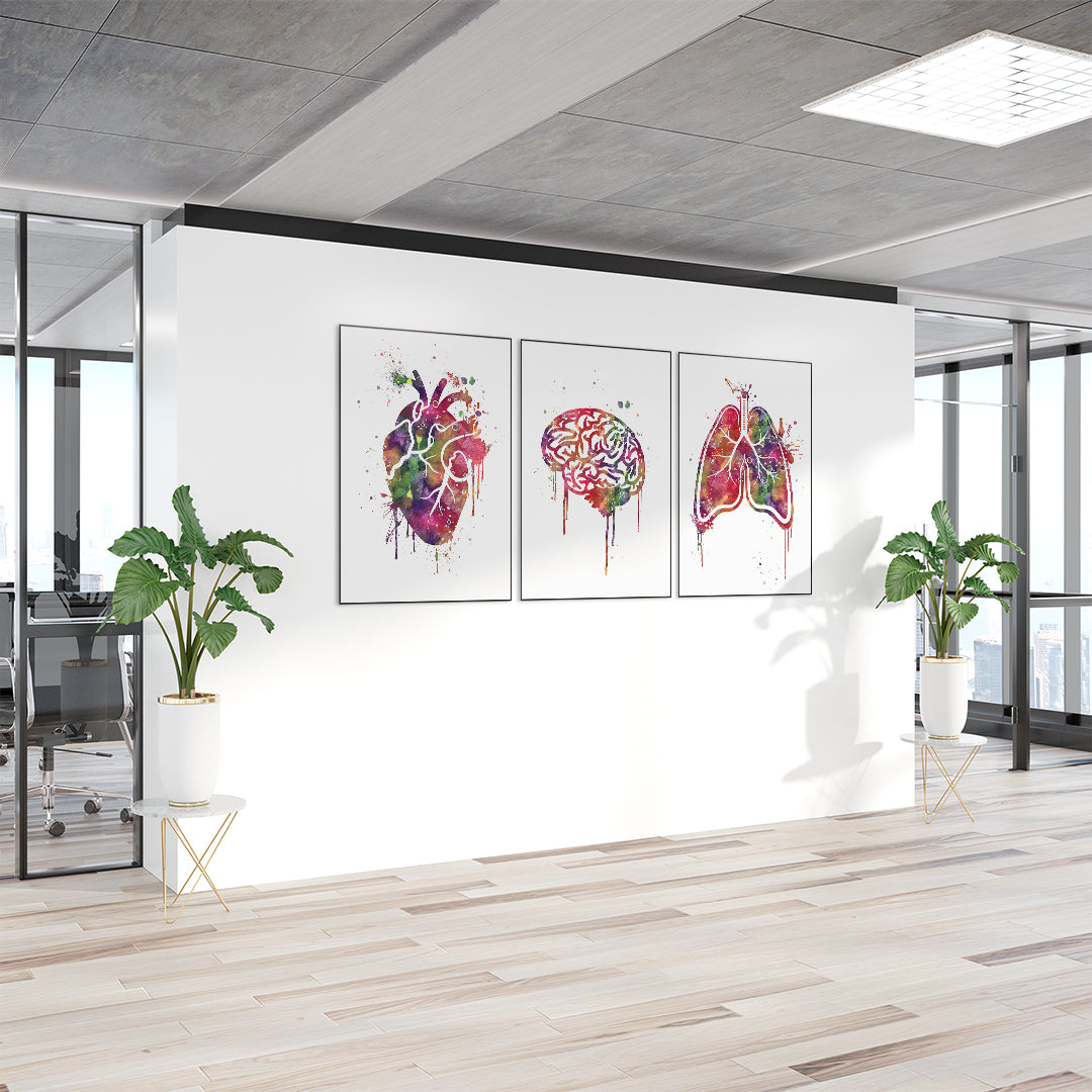 Set of 3 medical posters for doctors office