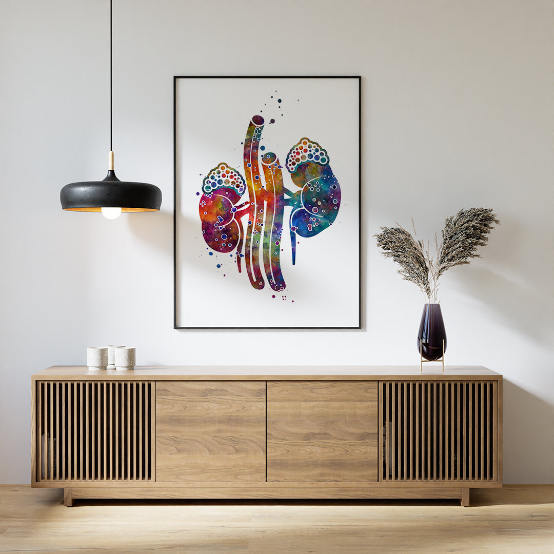 Vibrant watercolor kidney and adrenal gland anatomical print for medical decor.