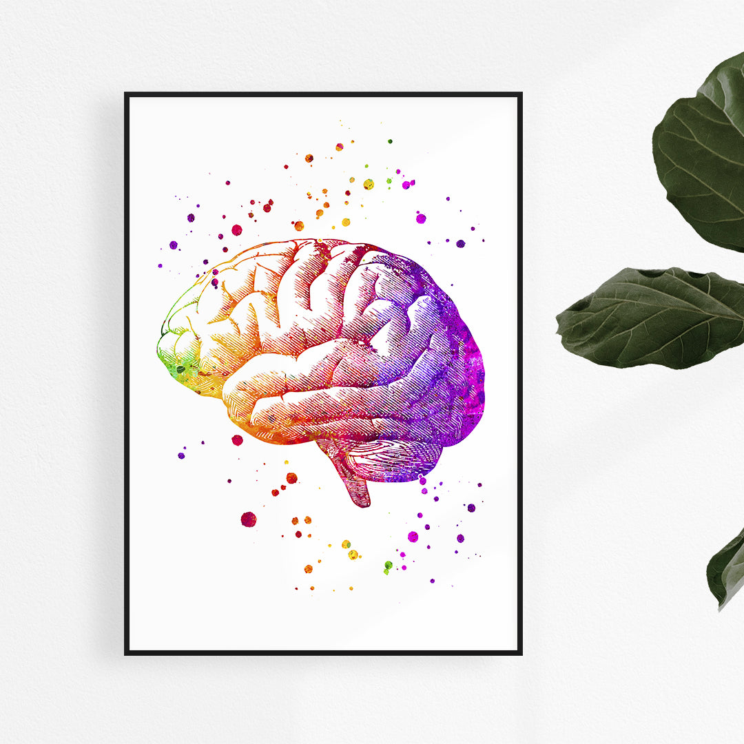 Detailed watercolor art of human brain anatomy, highlighting neurological structures in vivid colors, perfect for medical offices.