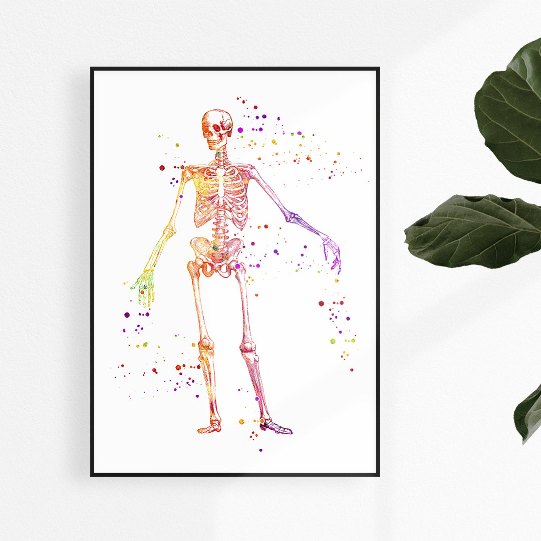 Skeleton art print for medical student gift 