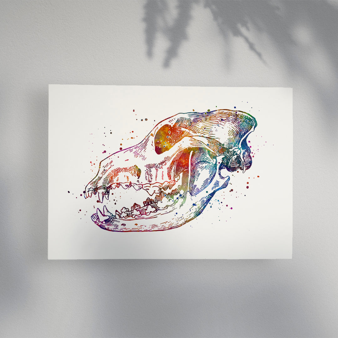 Unique dog skull watercolor artwork, ideal for anatomy and science fans.