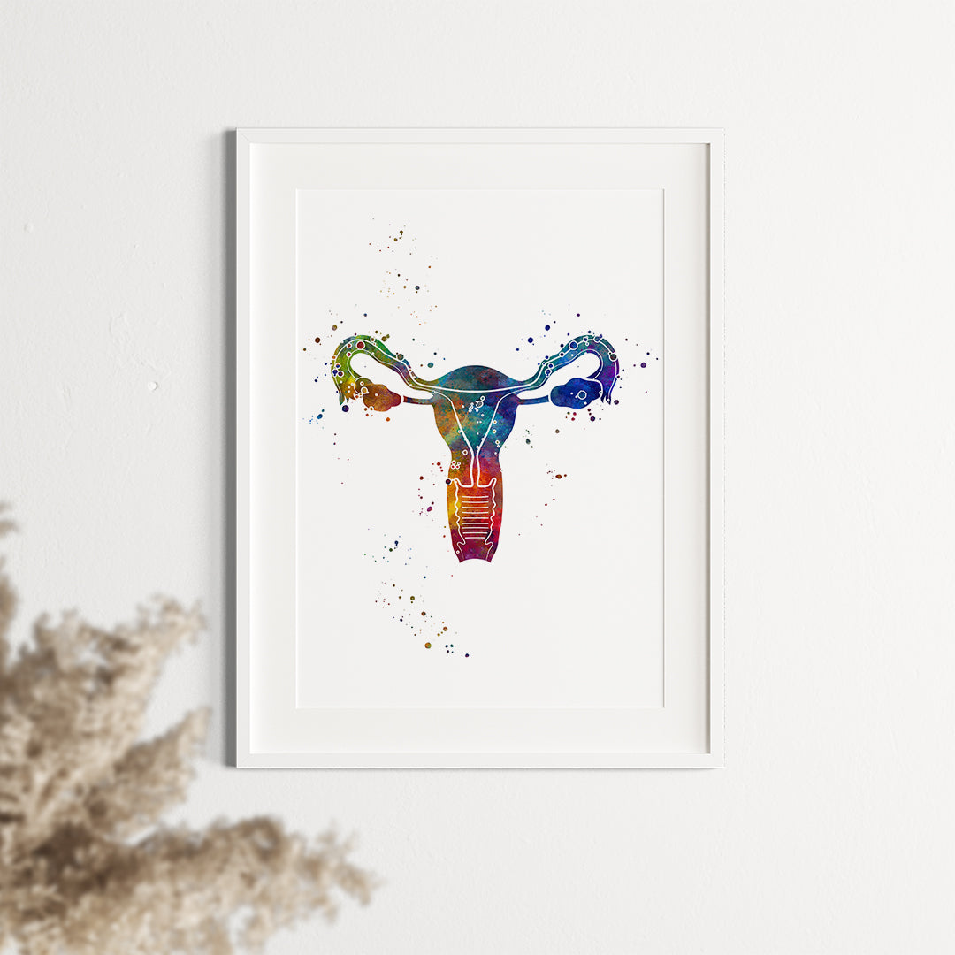 Anatomical watercolor print of the female reproductive system, featuring the uterus, ideal for gynecologists, midwives, and health enthusiasts