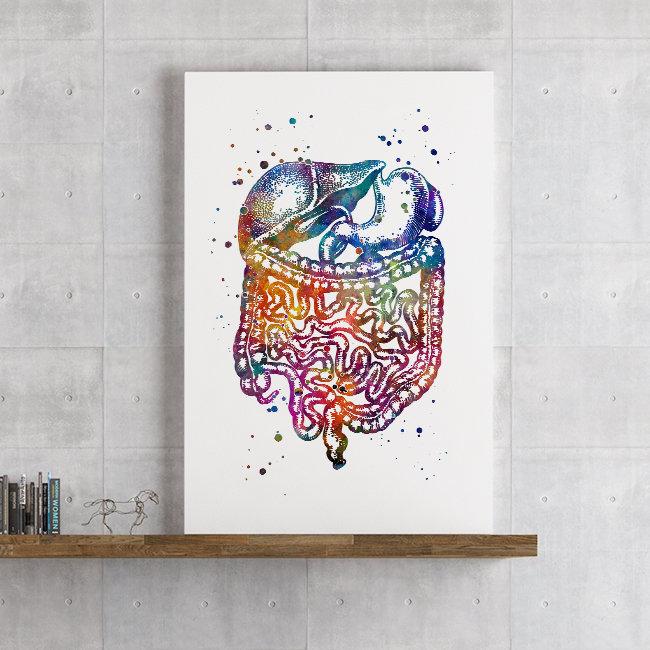 Digestive System Human Internal Organs Watercolor Print