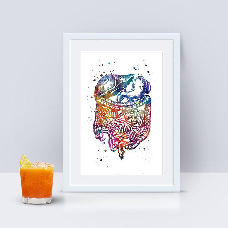 Digestive System Human Internal Organs Watercolor Print