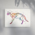 Cat Skeletom Anatomy Watercolor Art Print