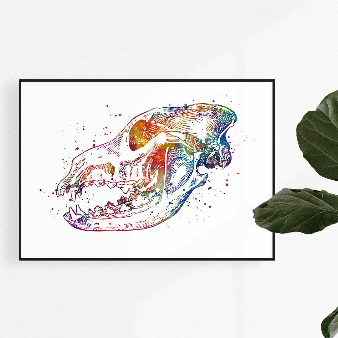 Dog skull anatomical watercolor print, perfect for veterinary clinic decor.