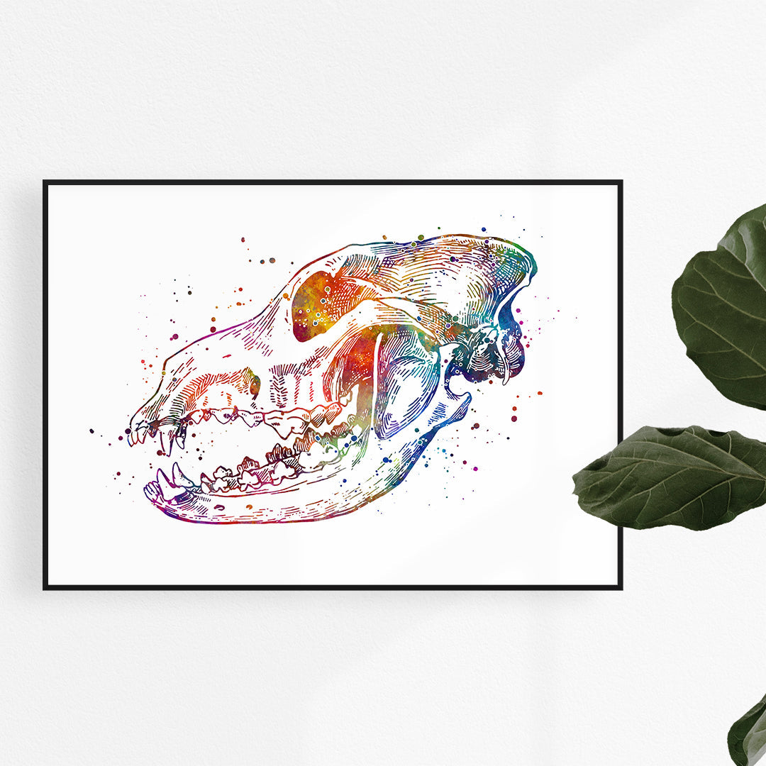 Dog Skull Anatomy Watercolor Art Print