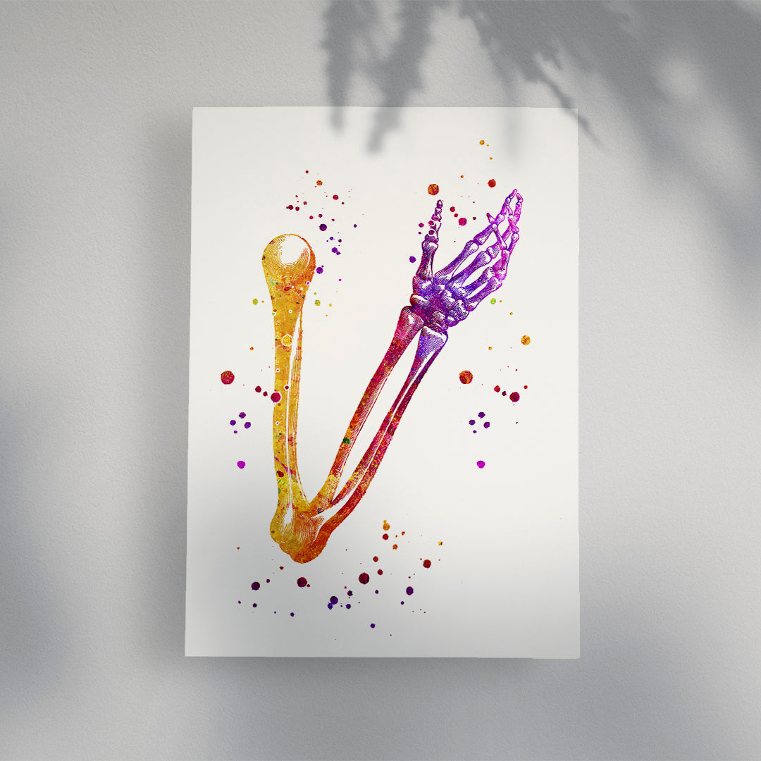 Hand Skeletal System Anatomy Art Watercolor Print