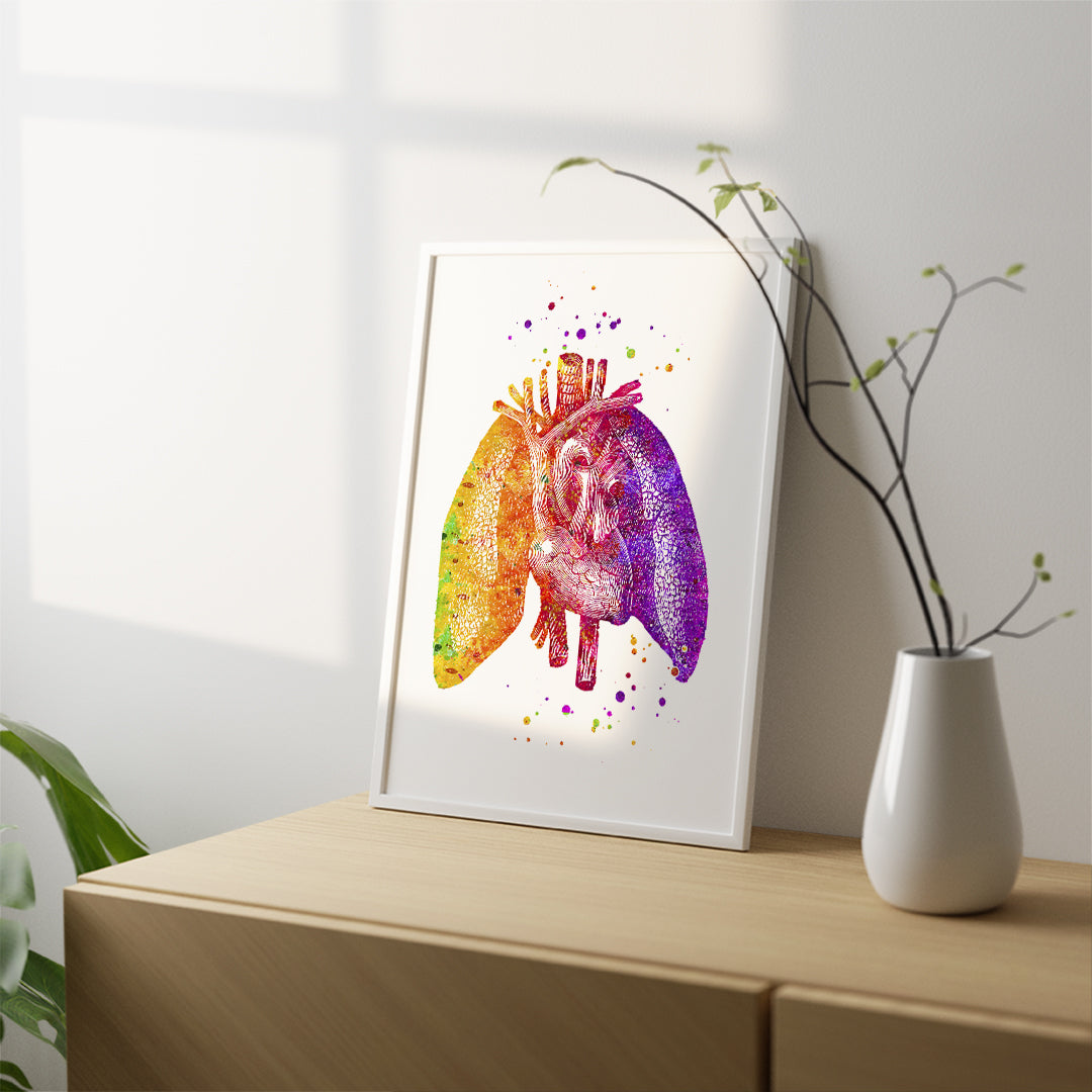 Lungs And Heart Human Anatomy Art Print