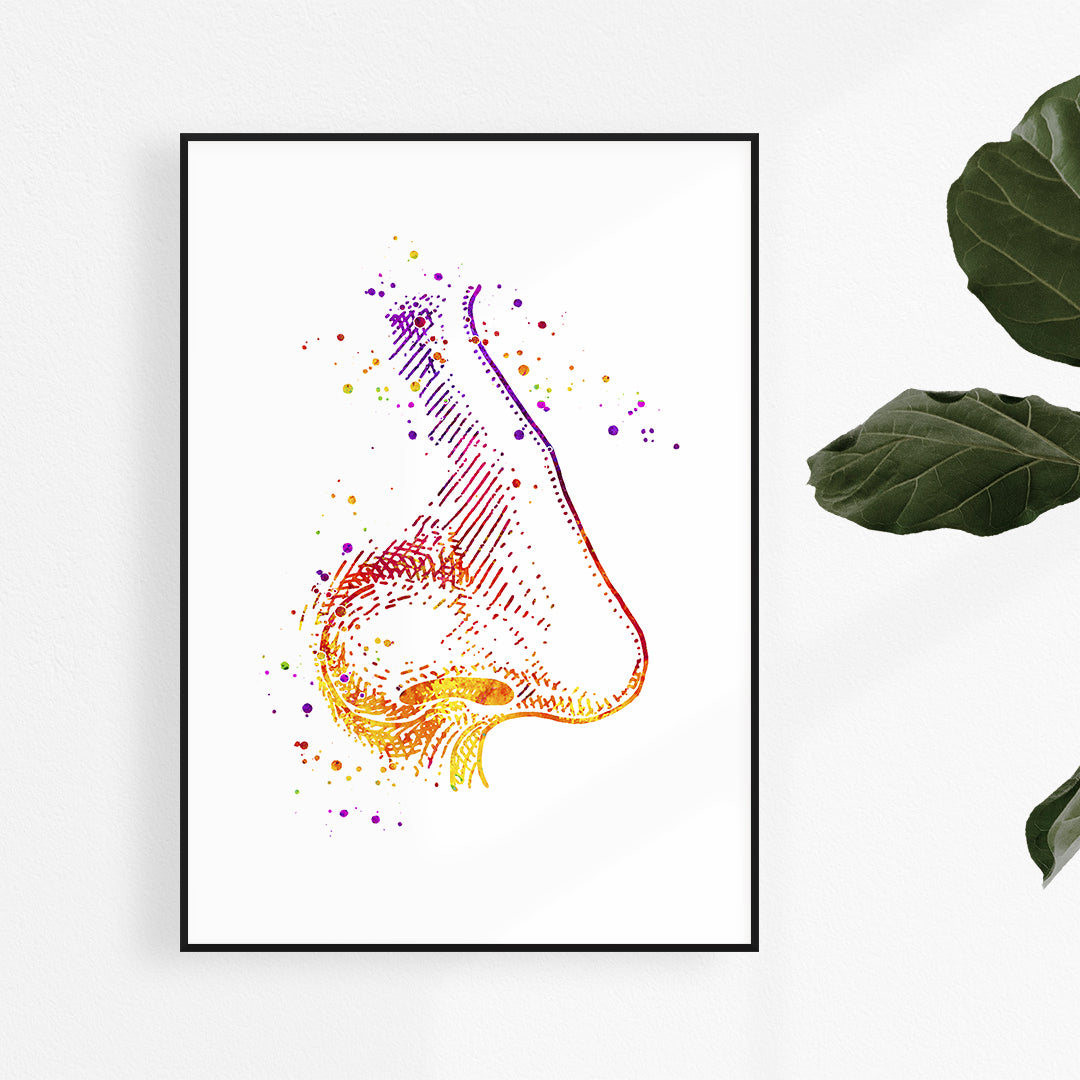 Human nose anatomy watercolor print, perfect for rhinology office decor or medical professionals specializing in ENT