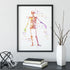 Human Skeleton Anatomy Watercolor Art Print