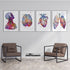 Anatomy Art DEALS Set of 4 Prints for Doctor Office Decor