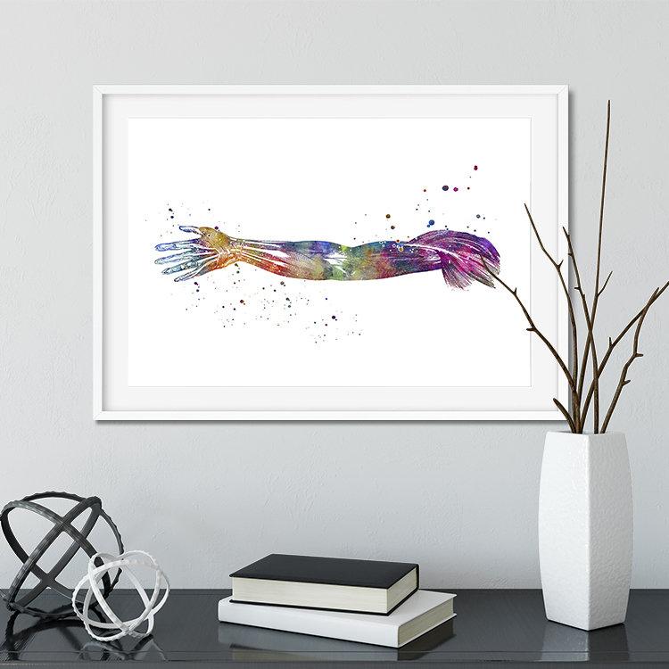 Hand and Arm Muscles Human Anatomy Art Watercolor Print