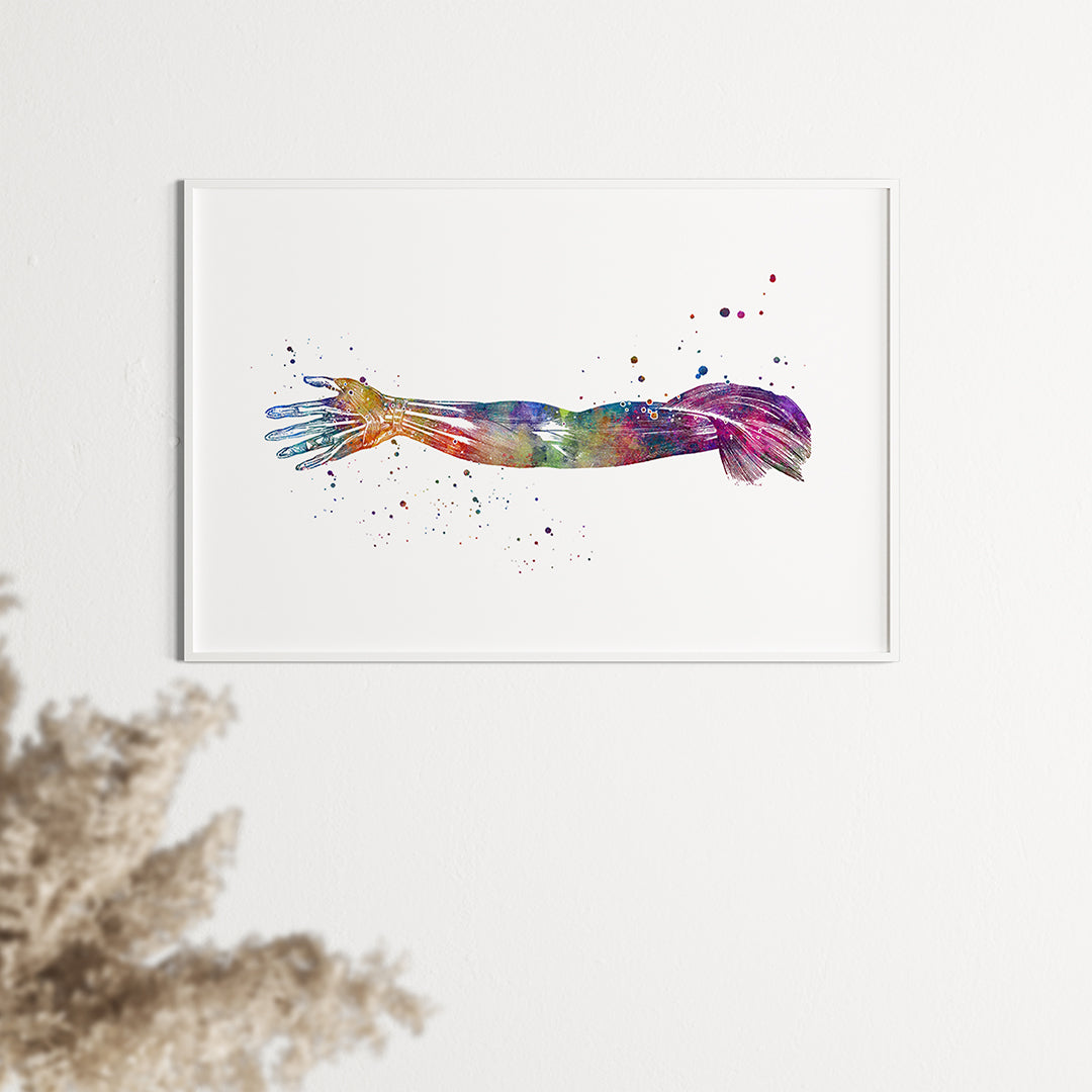 Colorful hand anatomy watercolor artwork