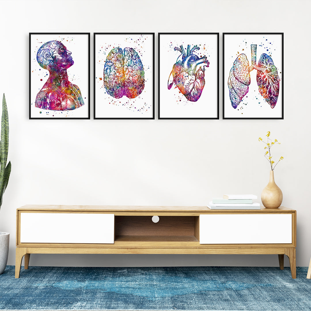 Anatomy Art DEALS Set of 4 Prints for Doctor Office Decor