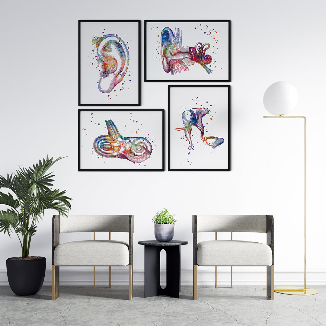 Ear Anatomy Set of 4 Prints - Audiology Wall Art