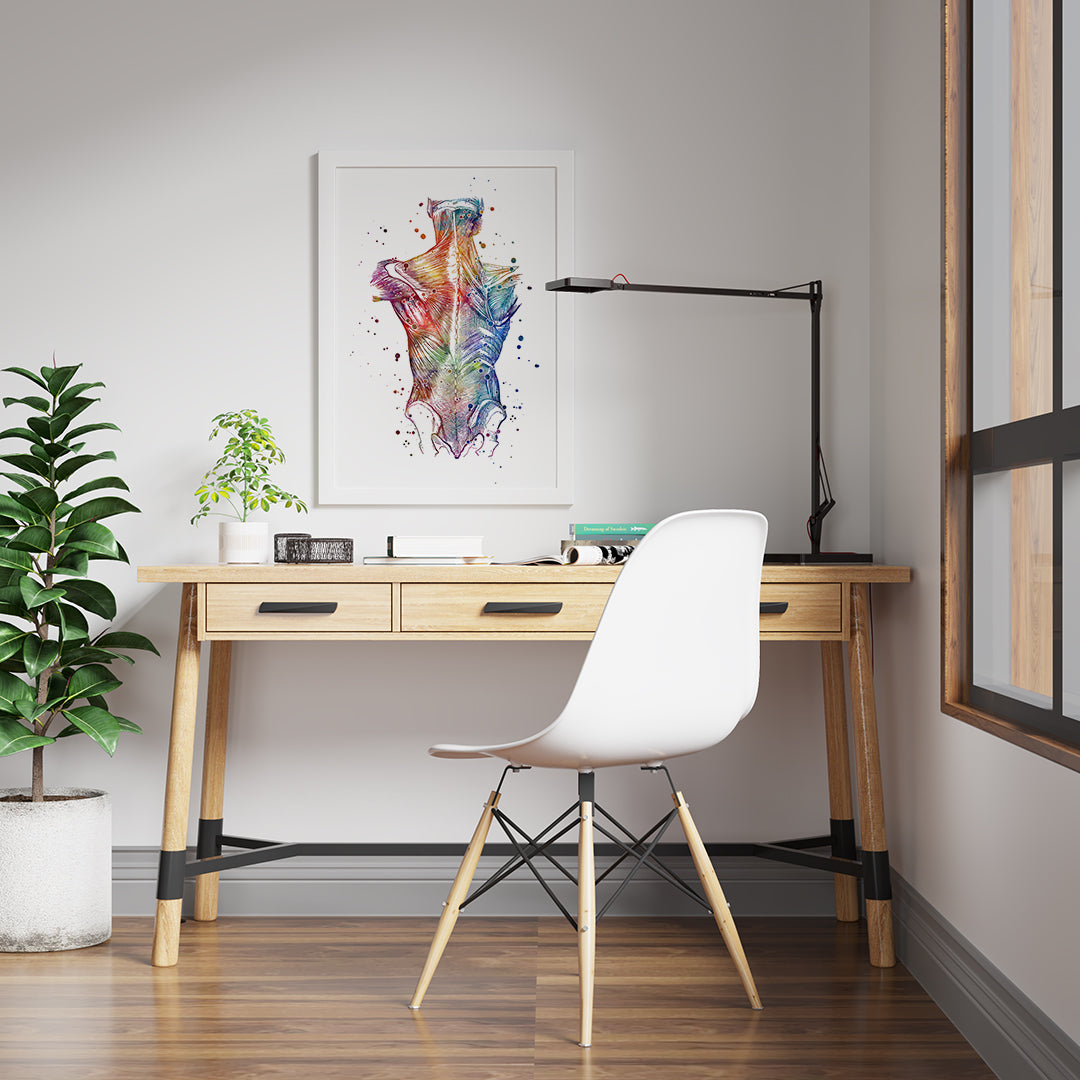 Back Muscles Anatomical Watercolor Art Print