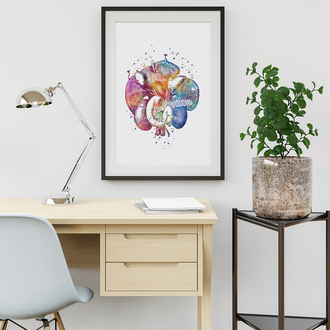Duodenum Human Internal Organs Watercolor Art Print