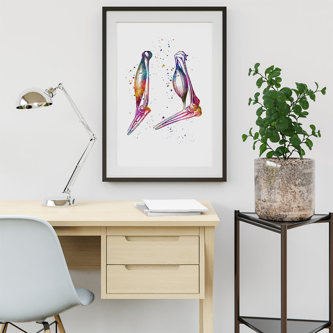 Biceps Arm Muscle Anatomy Art Watercolor Print