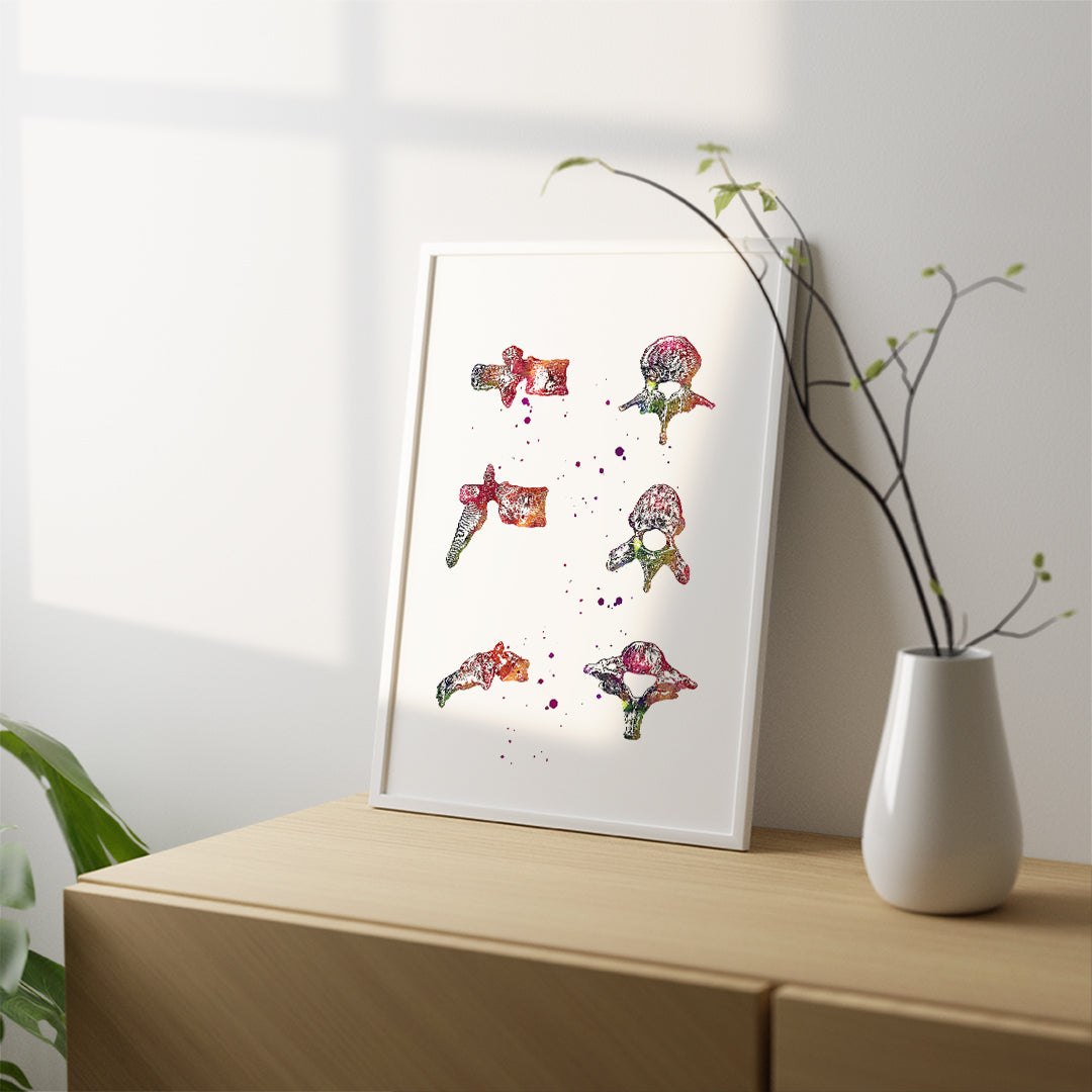 Vertebrae Spine Bones Anatomical Watercolor Art Print