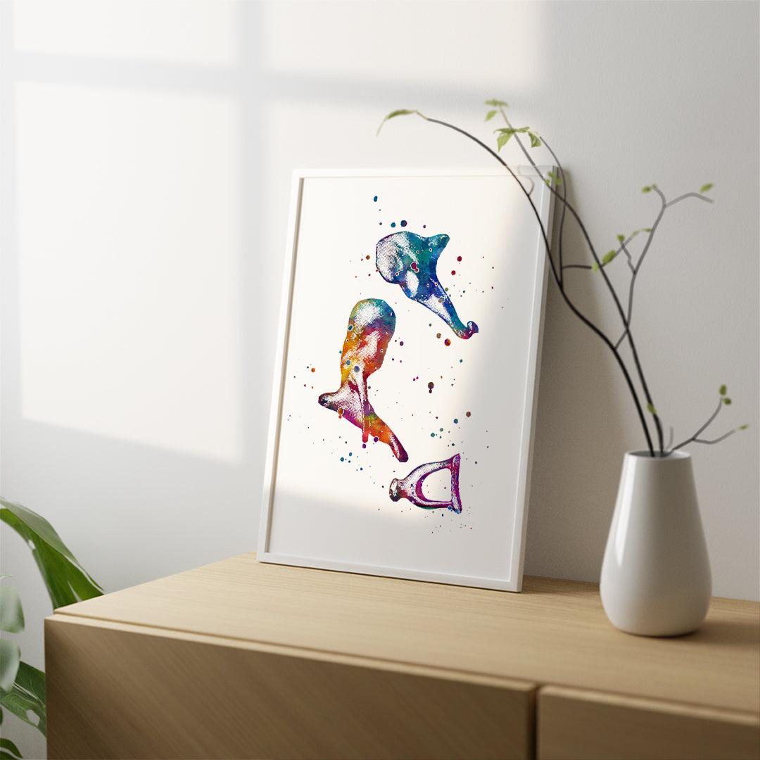 Human Ear Bones Anatomy Watercolor Art Print