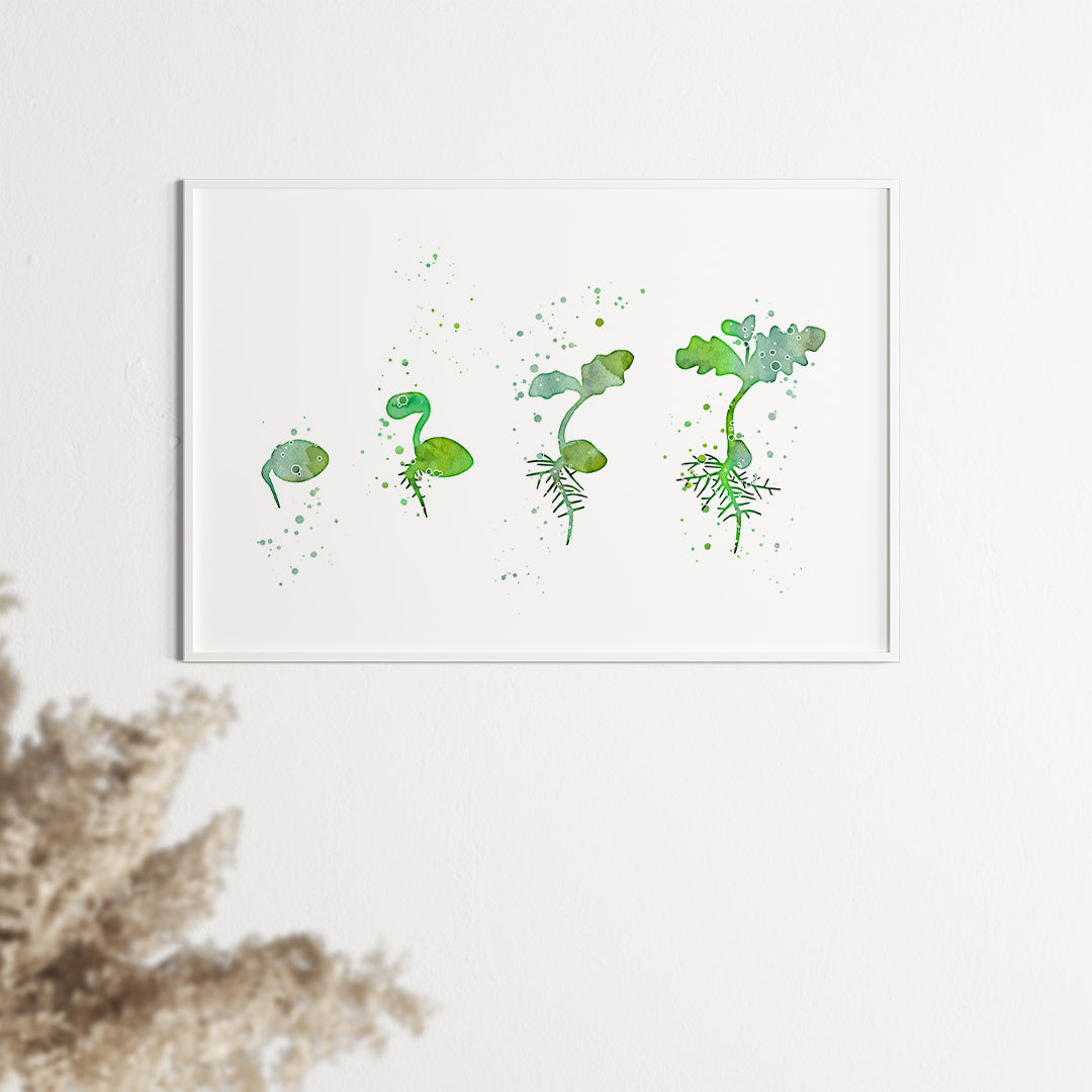 Germination process watercolor artwork ideal for biology-themed decor or education.