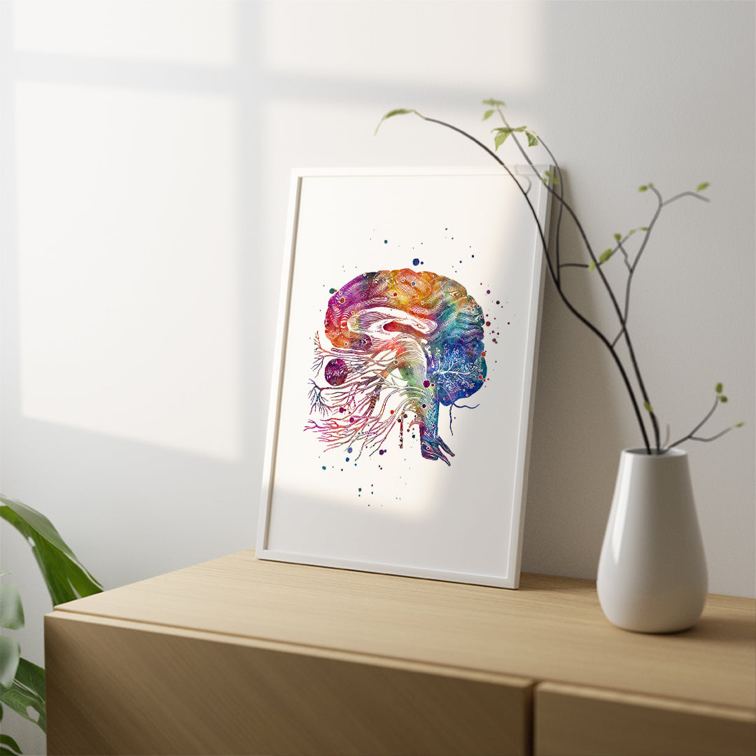 Colorful brain and cranial nerves anatomy print, a unique watercolor artwork for medical clinics or science decor.