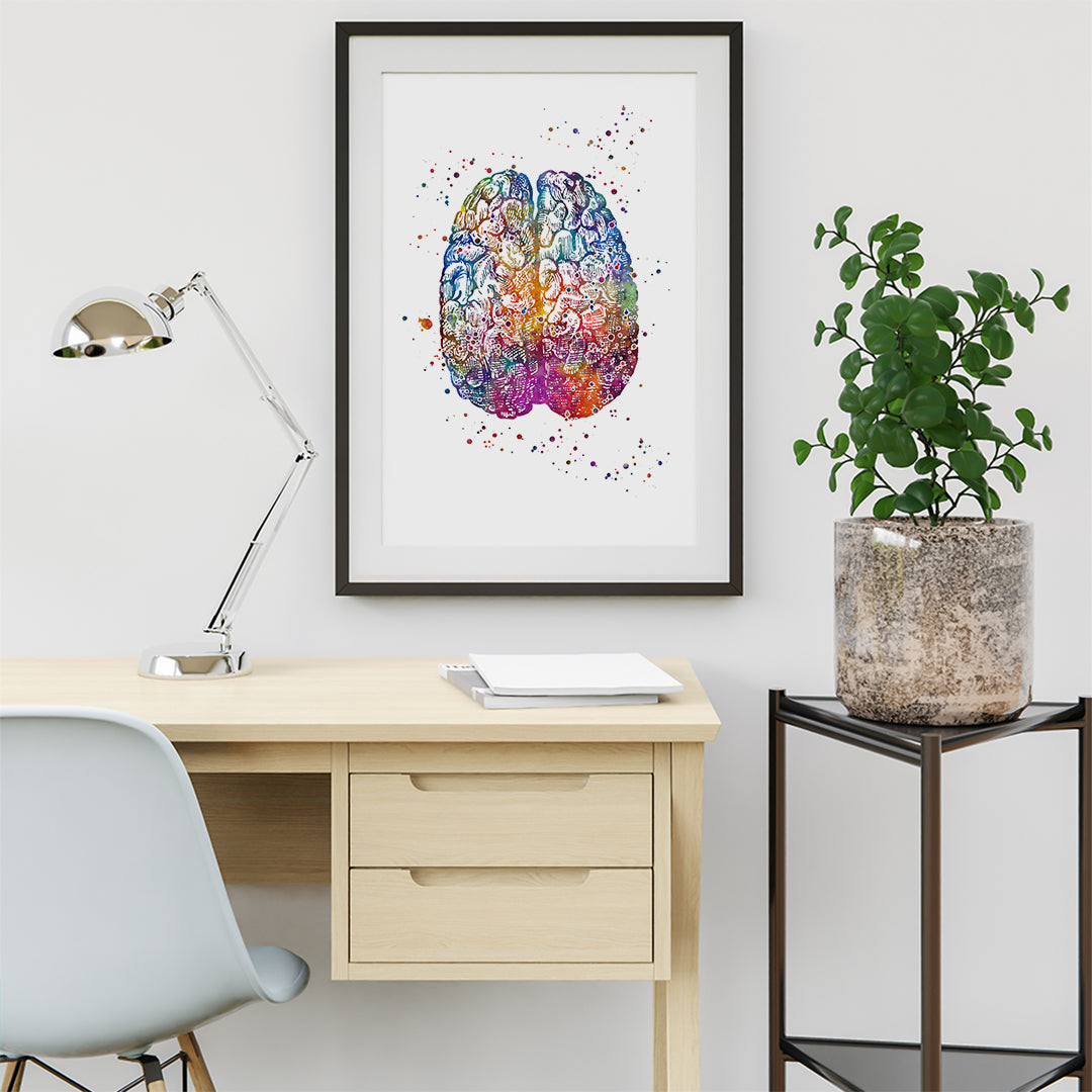 Artistic brain anatomy print in bold colors, a unique piece for home or clinical decor