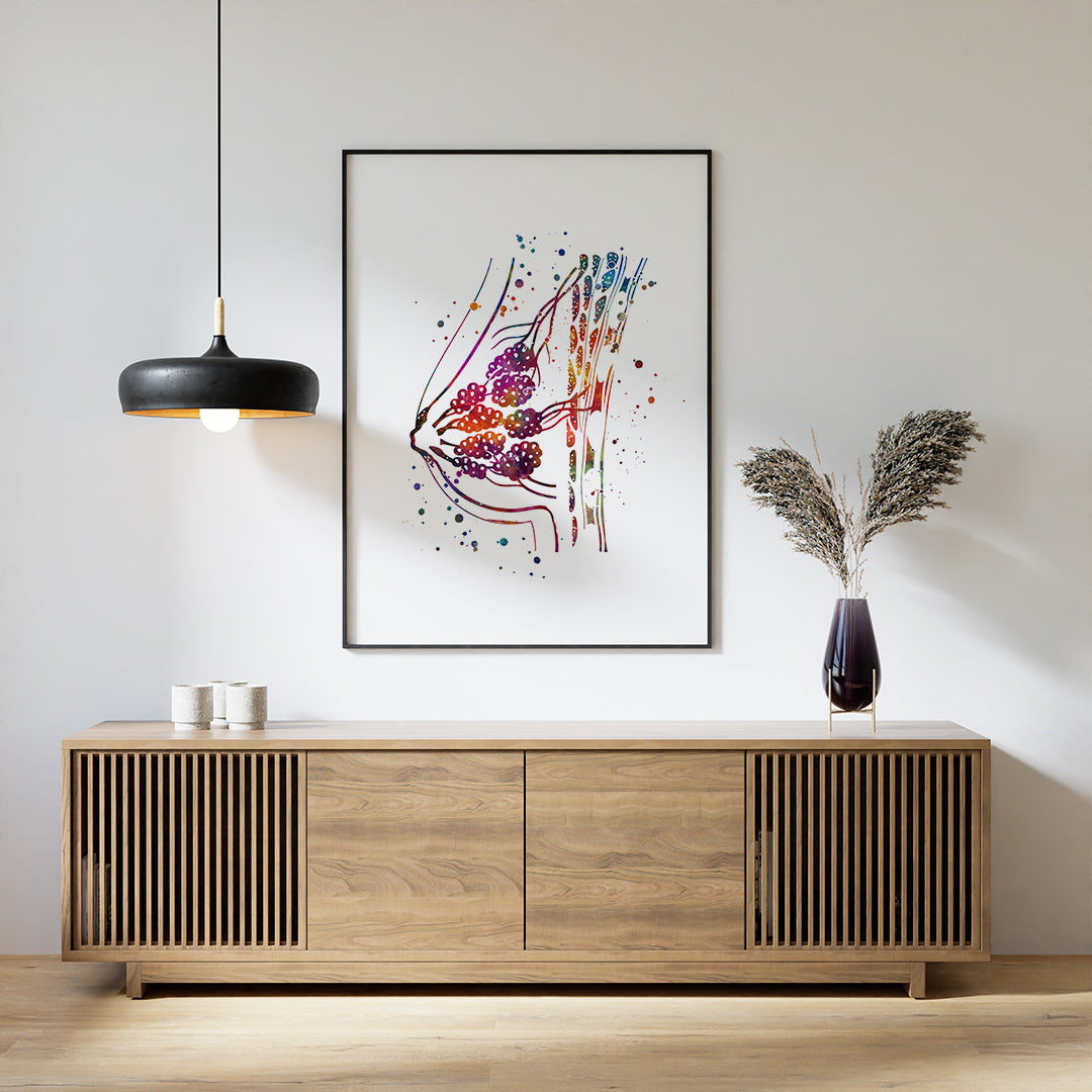 Detailed art print showcasing women's breast anatomy in colorful watercolor, ideal for clinics and health awareness.