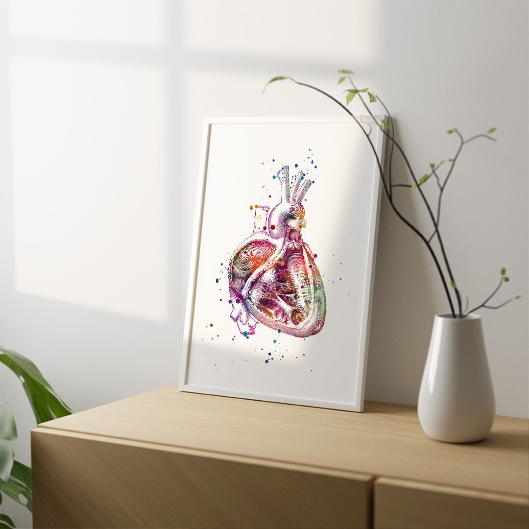 Cross section of the human heart Print for cardiologist office decor