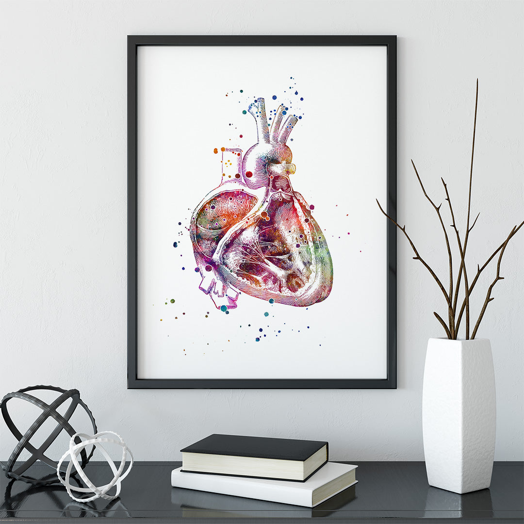 Cross section of the human heart Print for cardiovascular surgeon office decor